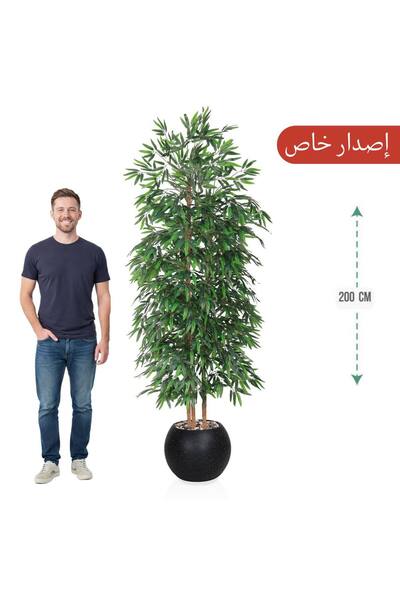 MARINO Three-branch bamboo tree, 200cm, for a round pot (special edition)