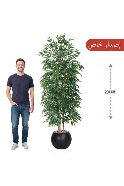 MARINO Three-branch bamboo tree, 200cm, for a round pot (special edition)