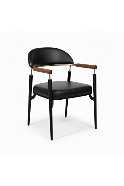 CBG CONCEPT QUATRO AHŞAP KOLLU METAL SANDALYE