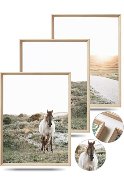 ALAYRA International لوحة فنية جدارية أنيقة تجريدية مؤطرة، مقاس 40 × 60 سم