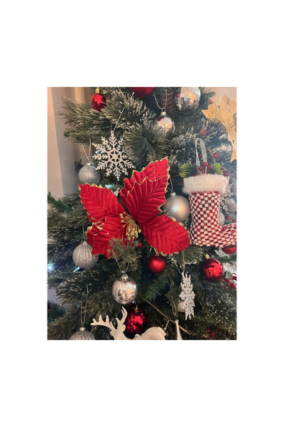 DODOMAR Ramură de pin de Anul Nou, floare de Atatürk, roșu, 8 frunze, 25 cm