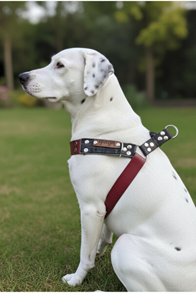 balkonda طوق للكلاب من فصيلة متوسطة وكبيرة الحجم قابل للتعديل من الجلد والدني...