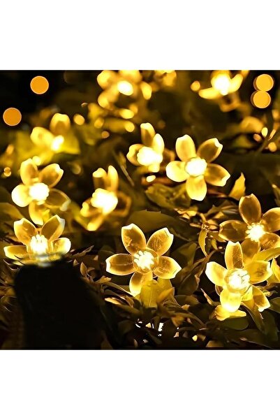 The Bros 2pack String Light Battery and USB Powered 9.8FT/3M Warm 20LED Cherr...