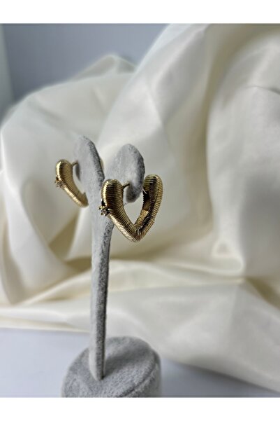 divakse Steel Earring Heart Model with Zircon Stone Curved Gold