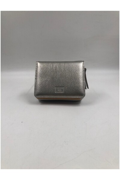 DSN C35088 Жіноча гаманець-сумочка СРІБЛО Стандарт