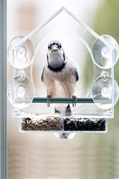 RAWAID Window Bird Feeder,Adsorption Transparent Acrylic Bird Feeder and 4 Extra Strong Suction Cups