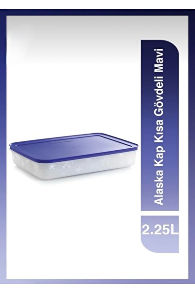 Plus Alaska Storage Container / 2.25 Lt