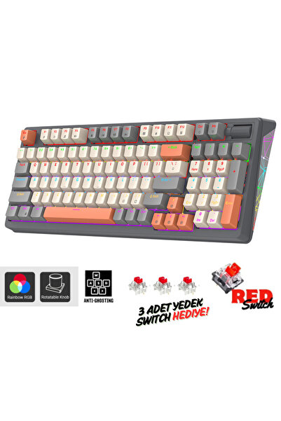 Sarftech K85 Tam Mekanik Red Switch Reinbow Tasarım Işıklandırmalı Kontrolcü 96 Tuş Gaming Oyuncu Klavyesi