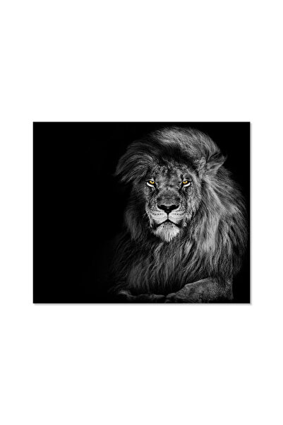 Printoot Black and White Lion Canvas Wall Art Majestic Animal Portrait Bold Modern Safari Home Decor