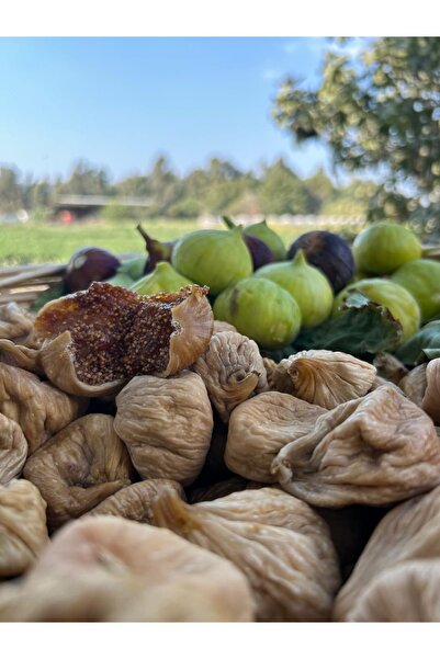 Enginar Mevsimi تين مجفف صغير الحجم