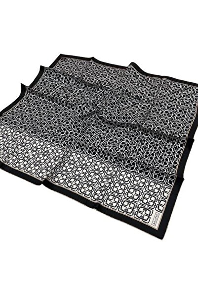 Armine Шовковий шарф 2025 Зима - 9248-50 Чорний твіл