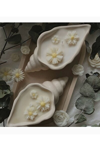 Pembekoza Deniz kabuğu mum seti