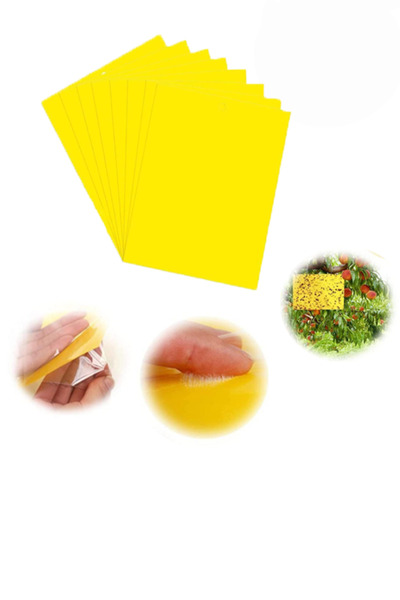 RAWAID 20 Pcs Yellow Sticky Fly Catchers Dual Side,Waterproof,for Insect Against Fungus Gnats15 X 20CM