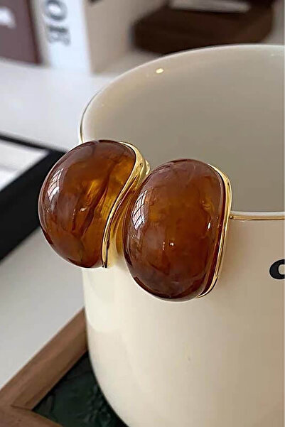 TAKIŞTIR Altın Ve Kahve Renk Taş Detaylı Küpe (Çift)