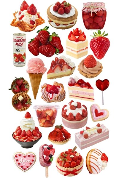 BRF Tkdizayn Strawberry Dream Tablet Phone Laptop Bullet Journal - Waterproof...
