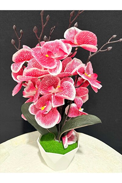 ENG PARTİ DÜNYASI Orkide Yapay (Phalaenopsis Model) - Beyaz Geometrik Saksıda...