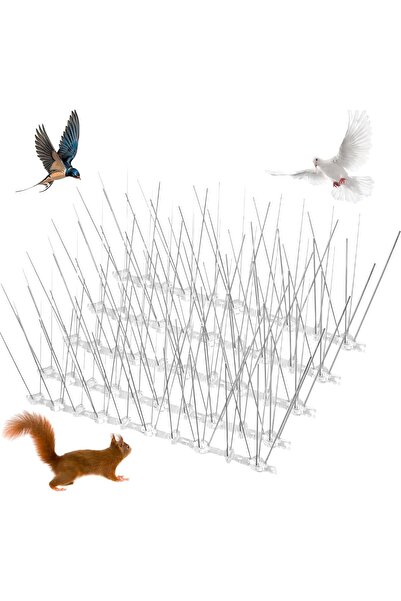 Azulmart مسامير طاردة للطيور، 20 قطعة، مصنوعة من الفولاذ المقاوم للصدأ، طاردة للحمام