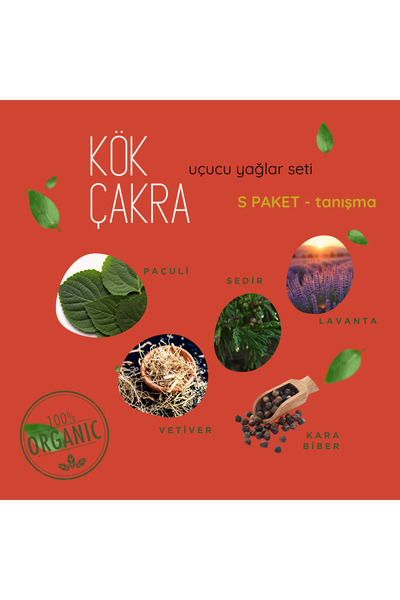 NU-KA DEFNE ESSENCIA Kök Çakra Tanışma Seti – Aromatik Uçucu Yağlar (5’li) Pa...