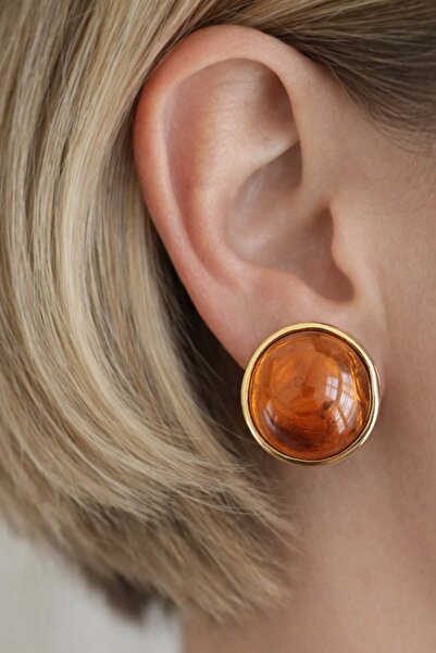 TAKIŞTIR Gold and Coffee Color Stone Detailed Earrings (Pair)