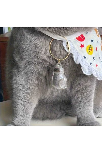 Tüylü Bamya Mioç Cat Hair Storage Capsule Cat Keychain Tuxedo Cat Transparent Souvenir Keychain Memory Keychain