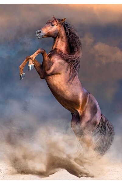 CLEMENTONI 500 Parça Wild Red Stallion Puzzle