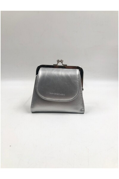 DSN C35233 Women's Wallet Bag Silver Standard