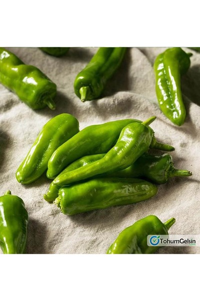 Granbusa Biyolojik Üretim Üçburun Köy Biberi 2kg