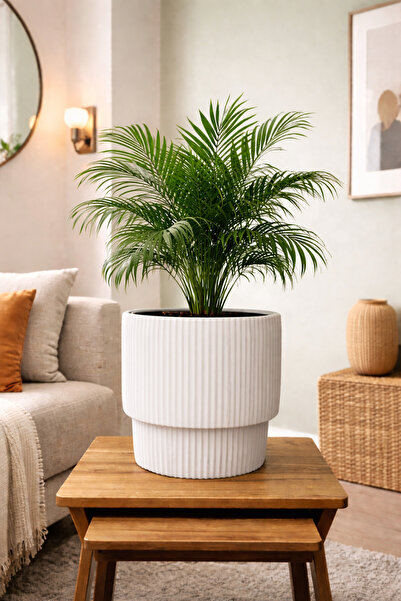 esm vase Dekoratif Çizgili Orta Boy Ev Ofis Saksısı 32x31cm