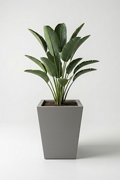 DEQQU Aura Conica 50x35cm Fiber Konik Saksı - Mat - Büyük Saksı - Fiberglass ...