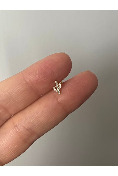 denizden silver Gümüş minimal kaktüs piercing