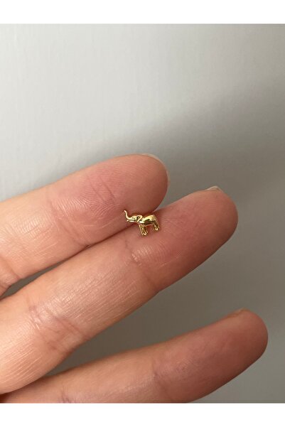 denizden silver Gümüş fil piercing