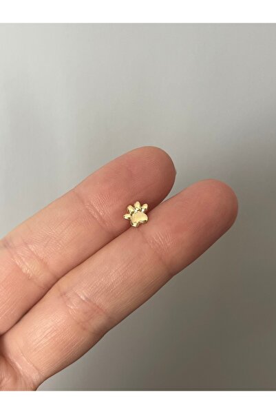 denizden silver Gümüş pati piercing