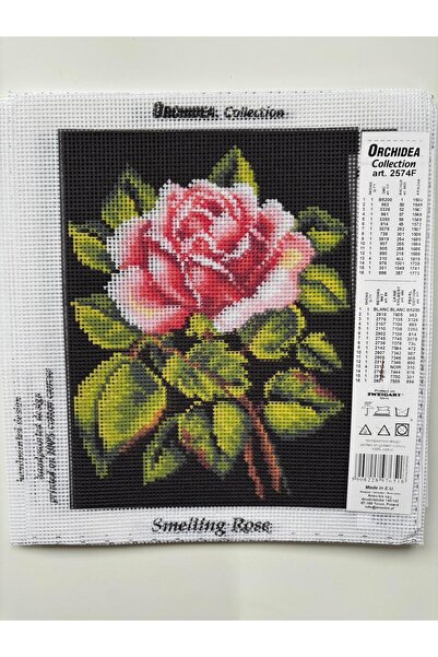 Orchidea Goblen 18x24