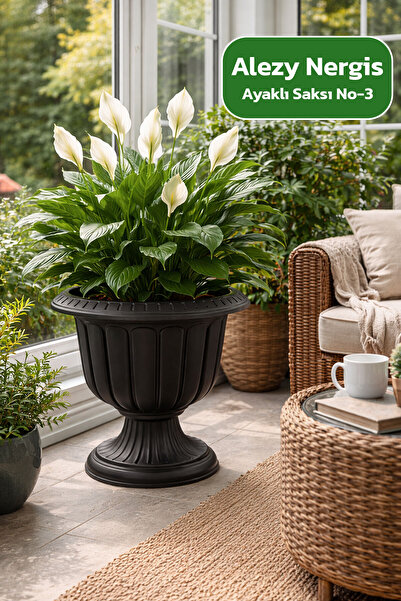 Alezy N002 Nergis Dış Mekan Saksı 47 Litre