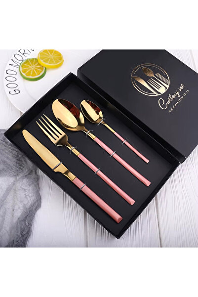 Partenya Pembe Renk Premium Paslanmaz Çelik 4 Parça Çatal Kaşık Bıçak Takımı ...