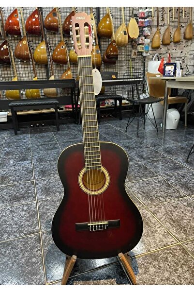 PARİS KLASİK GİTAR ( KILIFLI)