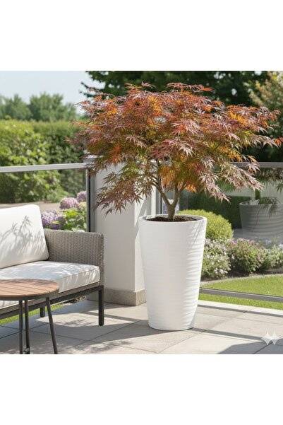 Alezy KVT3 İç Drenaj Hazneli Kumsal Çiçek Vazosu 13,7 Litre