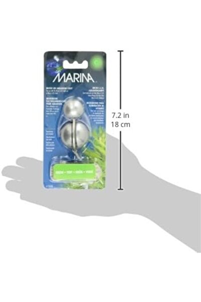 Marina Fanus Işığı Yeşil