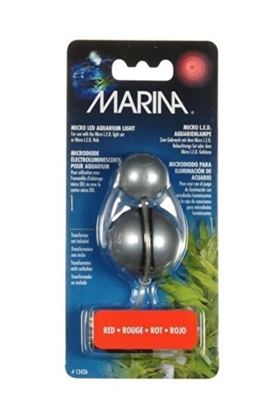 Marina Hagen Mavi Fanus Işığı