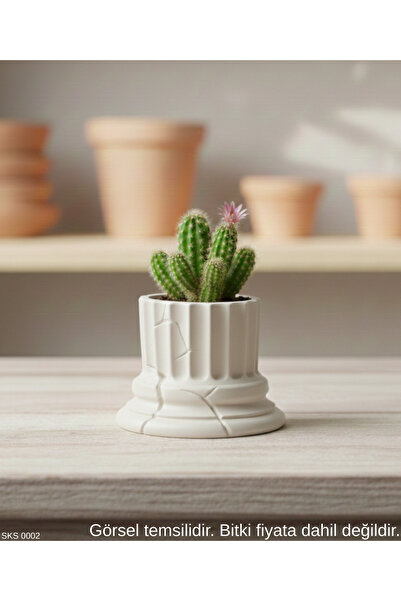 EGATOPTAN White Classic Column Form Mini Decorative Flower Pot – 7 cm Desktop...