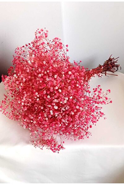 Birlik Cipso Çiçeği Şoklanmış Pembe