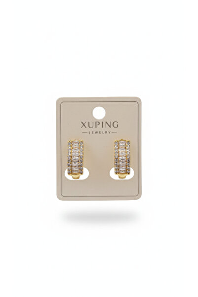 AFRODİTGOLDBUJİTERİ Steel Gold Earrings with Zircon Stones