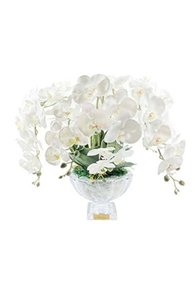 Cote Noire - Luxury Centerpiece Beyaz Orkide Koku