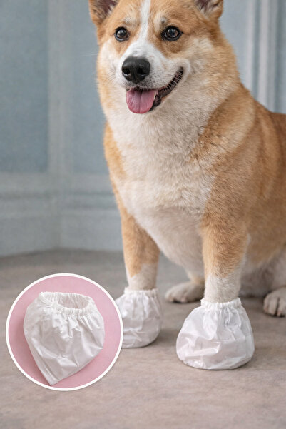 white guard Disposable Hygienic Paw Covers for Dogs (Size S – m) Indoor Cleaning & after Outdoor Use