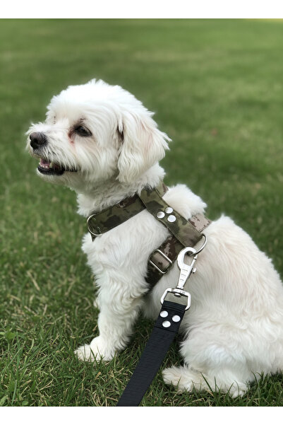 balkonda طوق للكلاب من النوع H للسلالات الصغيرة والصغيرة جدًا، حبل قابل للتعد...