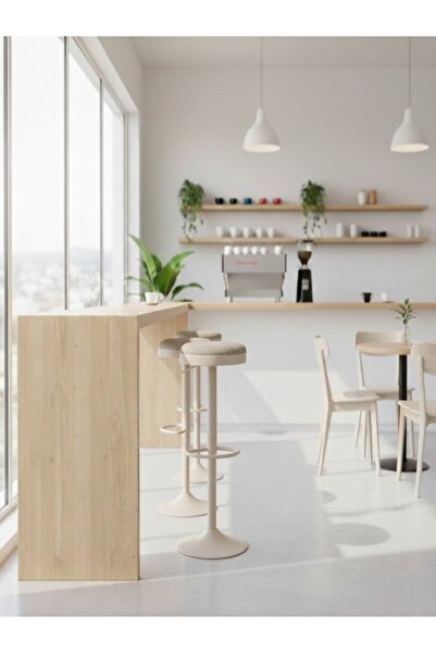 BEC13 Modern swivel counter chair