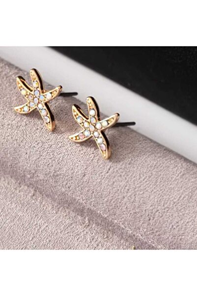 sarıyer silver أقراط فولاذية على شكل نجم البحر مطلية باللون الأصفر مع أحجار الزركون البيضاء