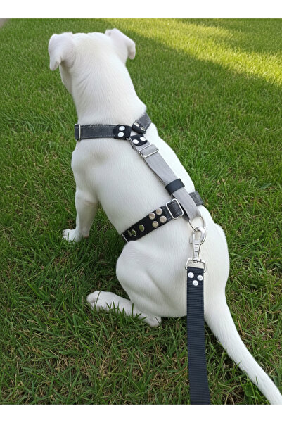 balkonda Dog Collar H Type Medium and Large Breed Adjustable Column Cord & Denim Gray