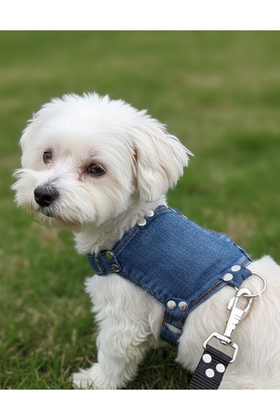 balkonda طوق للكلاب من السلالات الصغيرة قابل للتعديل باللون الأزرق الدنيم