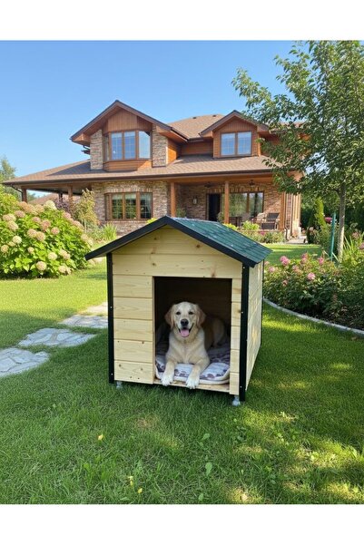 MSAY Büyük Boy Köpek Kulübesi Dış Mekan Lambri Model